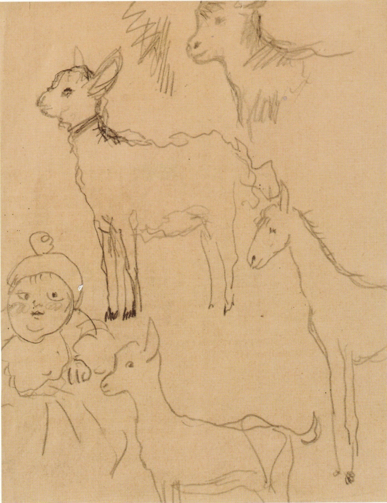 Animaux